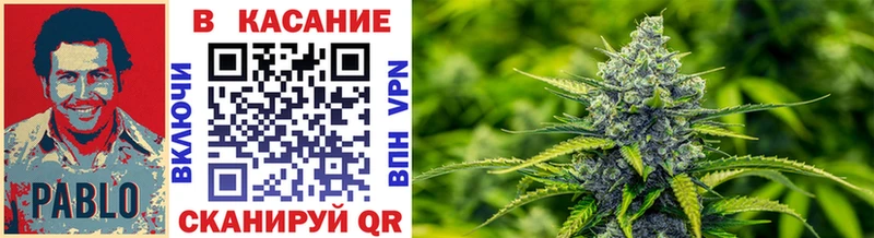 Виды наркотиков купить Орехово-Зуево Cocaine Alpha PVP Гашиш
