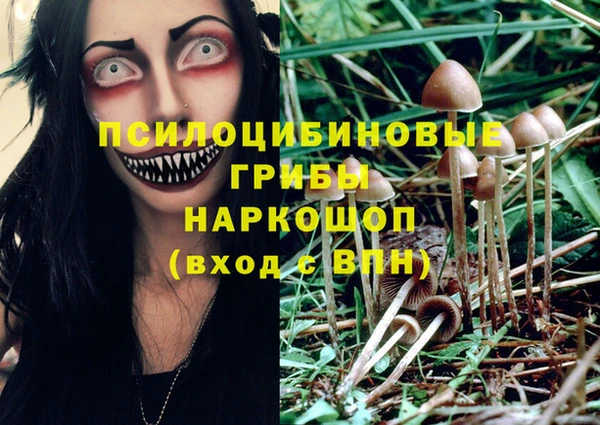 ALPHA PVP Бородино